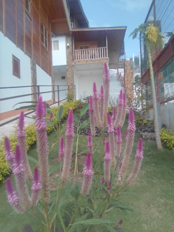 Domus Guesthouse Santana 외부 사진